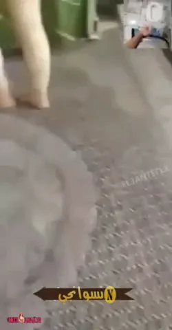 ميلف هايجة تتفشخ نيك وتصوت من الزب الكبير مش قادرة سكس مصري — لقطة 4