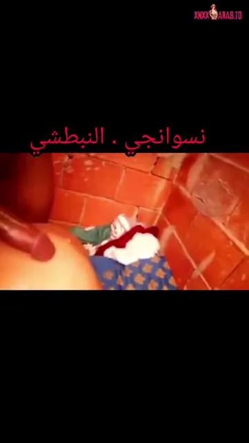 يزنق خطيبته في شقة مهجورة وينيكها في طيزها سكس مصري — لقطة 4