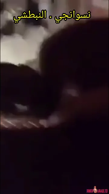 شاب مع حبيبته البطل تدلع عليه وتركب على زبه سكس مصري — لقطة 9