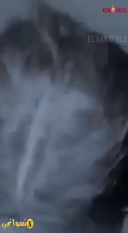 بنت لبوة تحلب زب خطيبها لحد ما يجيبهم على بزازها سكس مصري — لقطة 2