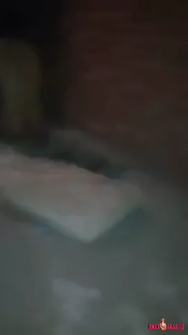 شاب هايج ينيك بنت في الخرابة سكس مصري — لقطة 4