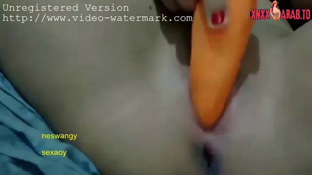 شرموطة هايجة اوي بتلعب في كسها بجزرة سكس نودز مصري — لقطة 4