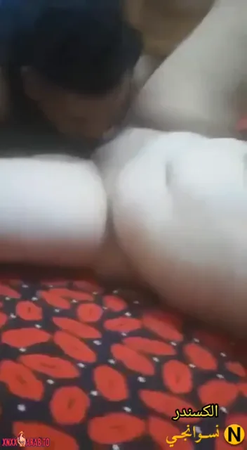 سهرة ميلفاية مع عشيقها واحلى نيك وشرمطة سكس مصري — لقطة 6