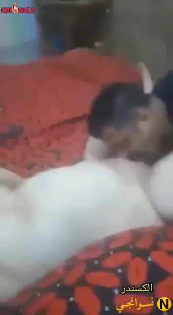 سهرة ميلفاية مع عشيقها واحلى نيك وشرمطة سكس مصري — لقطة 7
